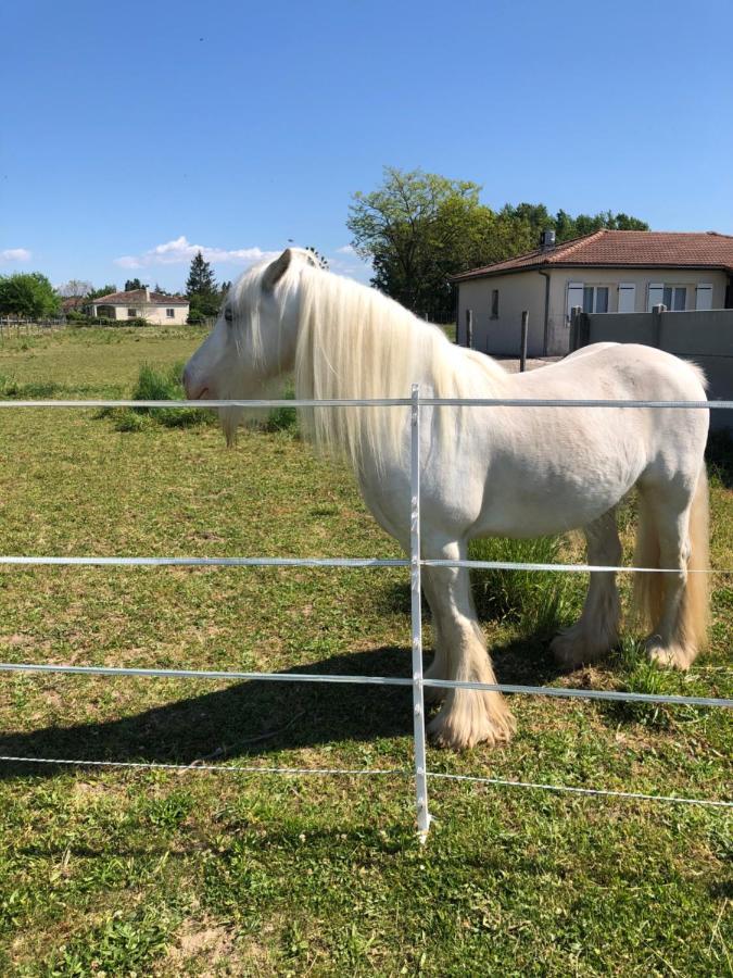 Holiday home Le De Romas